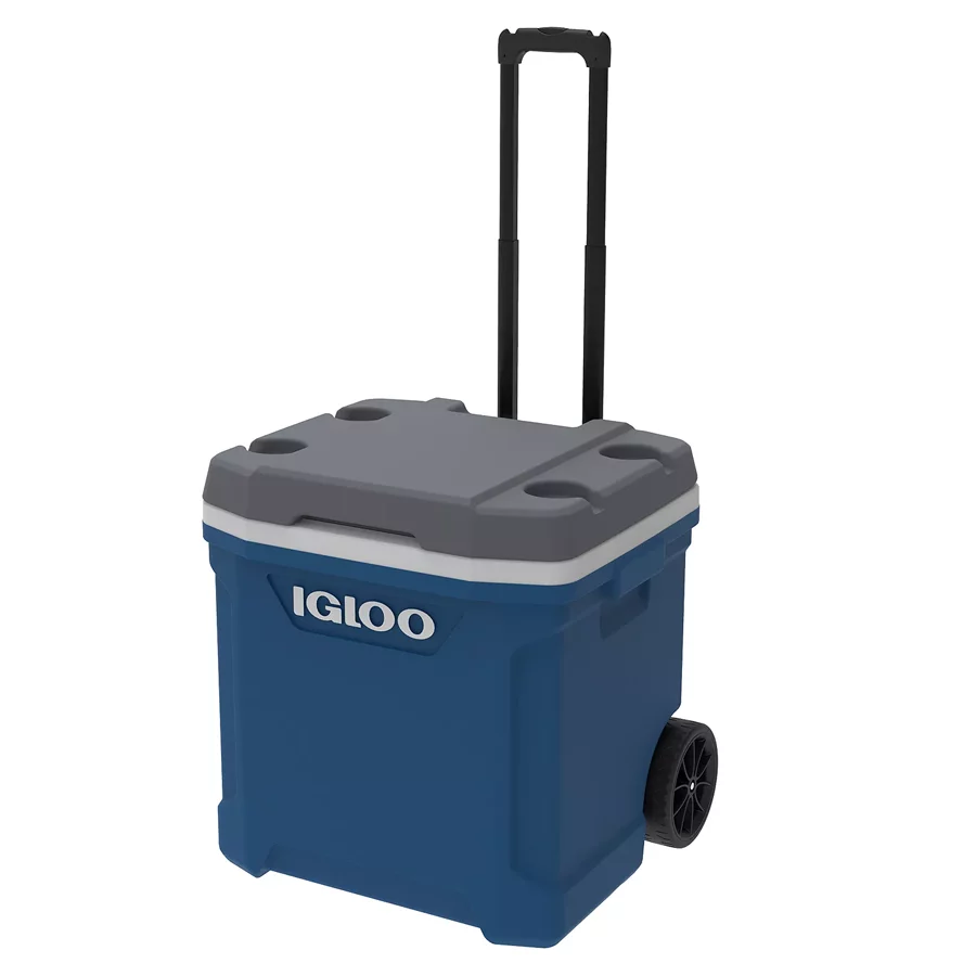 TB-KO-BIGCOO11 TB KO BIGCOO11