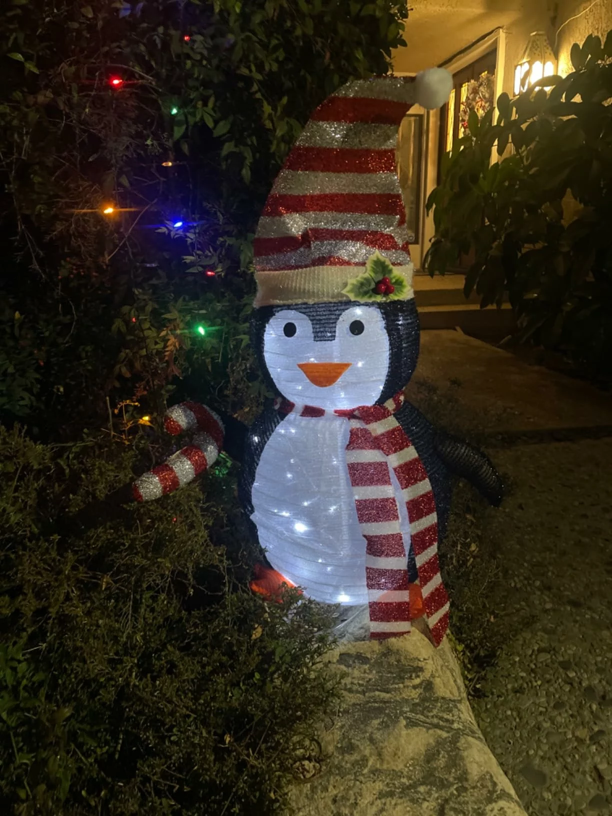 LuxenHome Santa Claus Lighted Globe – 29.9 in Holiday Decoration for Indoor & Outdoor Use photo review