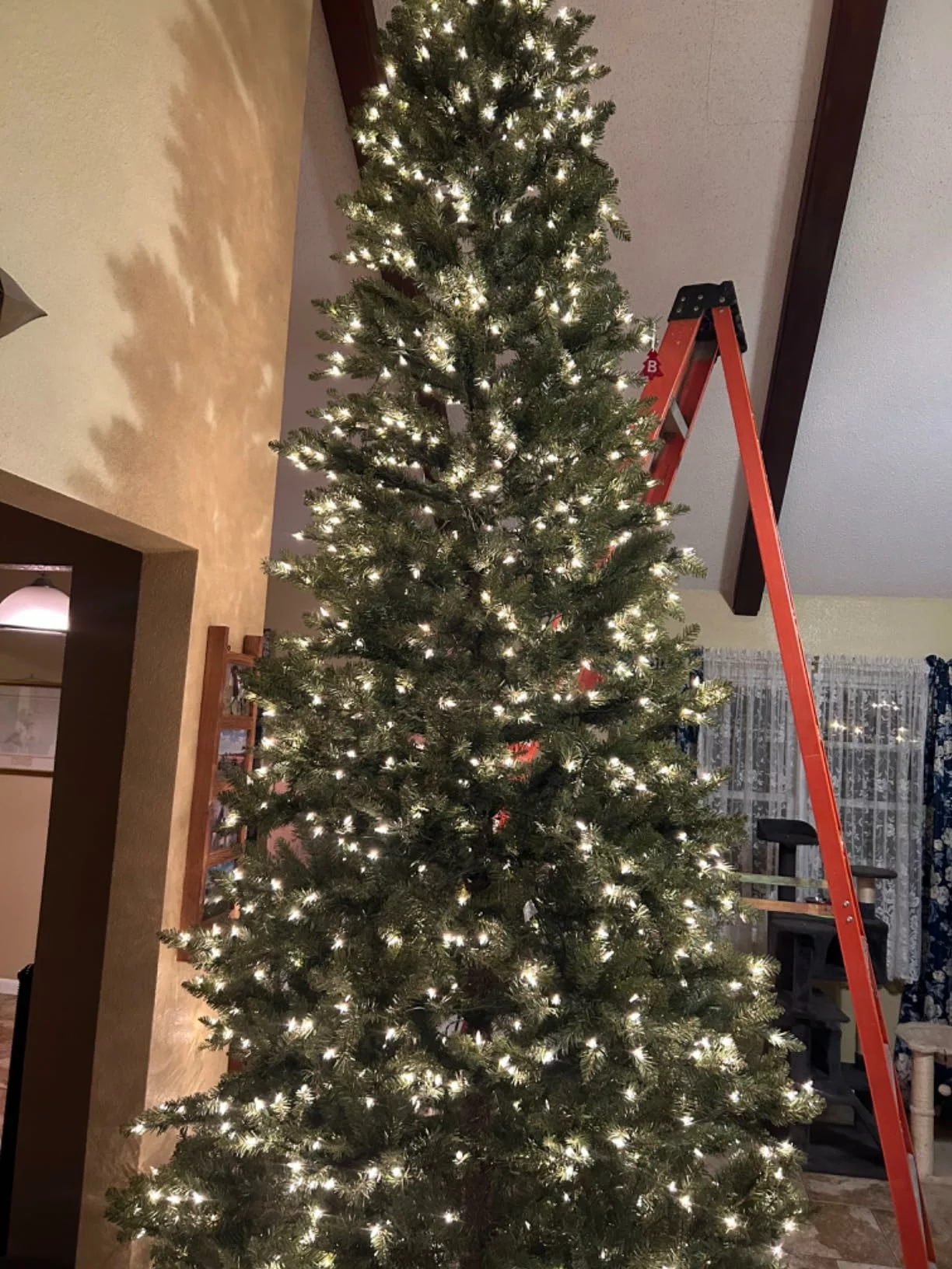 Puleo International 5ft Carson Pine Christmas Tree – Lifelike Foliage with Durable Stand photo review