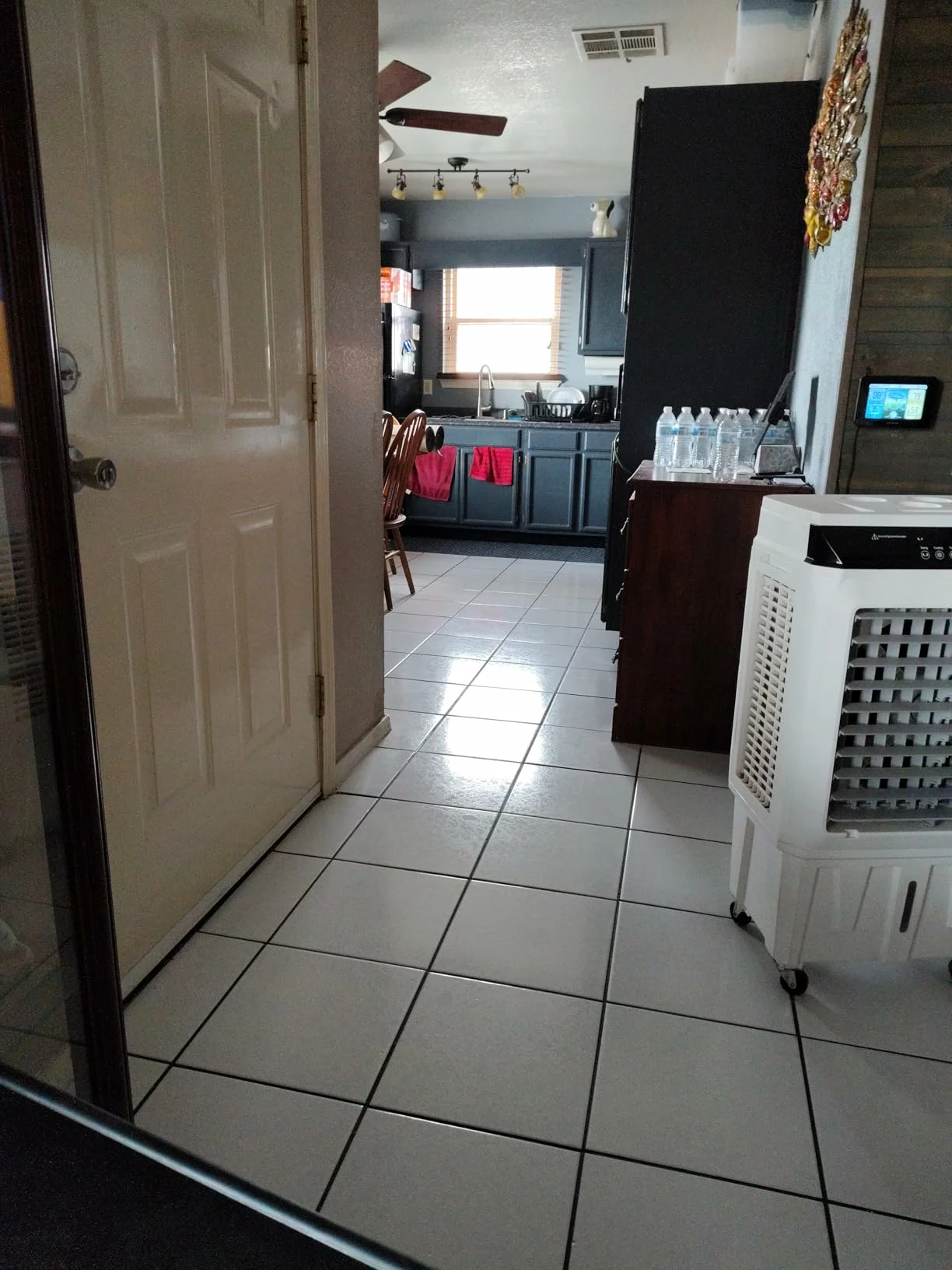 SteamSpot Steam Mop (S2001) – Powerful Steam Cleaning with Precision Steam Blaster for Sparkling Floors photo review