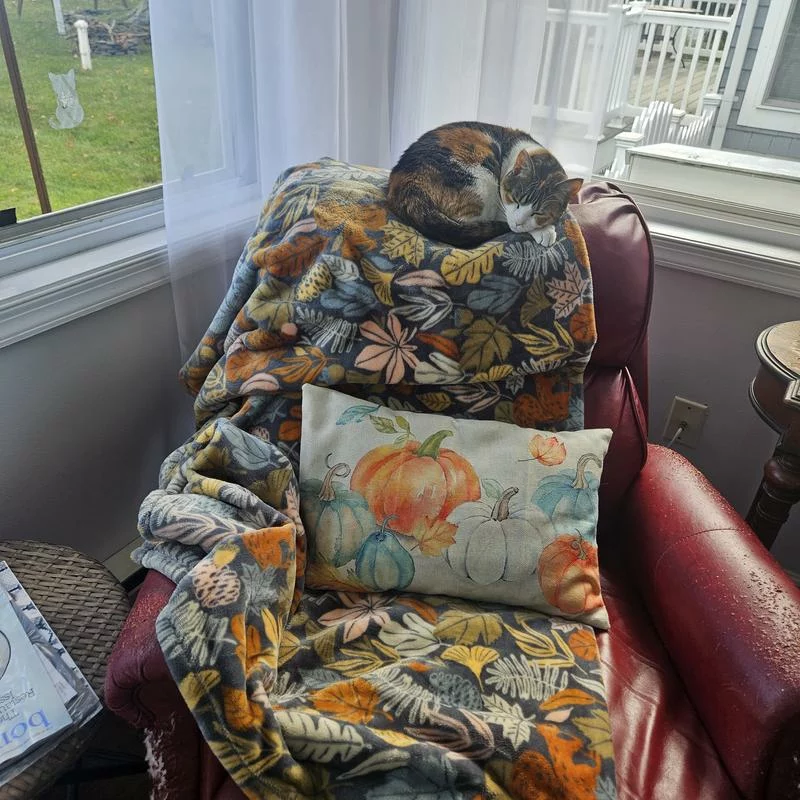 The Big One Oversized Plush Throw Blanket – Extra Large, Machine-Washable Comfort photo review