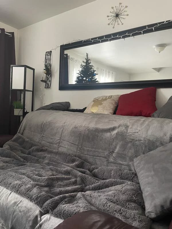 Super Soft Plush Bed Blanket – Warm, Cozy & Lightweight for All Seasons (Size King) photo review