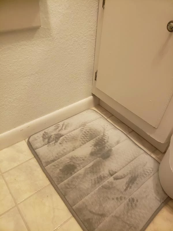 Solid Memory Foam 2-Piece Bath Rug Set 20x32 – Soft, Absorbent Bathroom Mats for Comfort and Style photo review