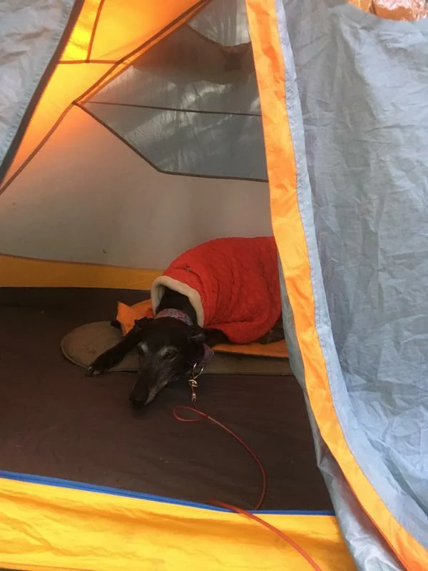 NEMO Switchback Sleeping Pad – Ultralight Comfort for Camping & Backpacking photo review