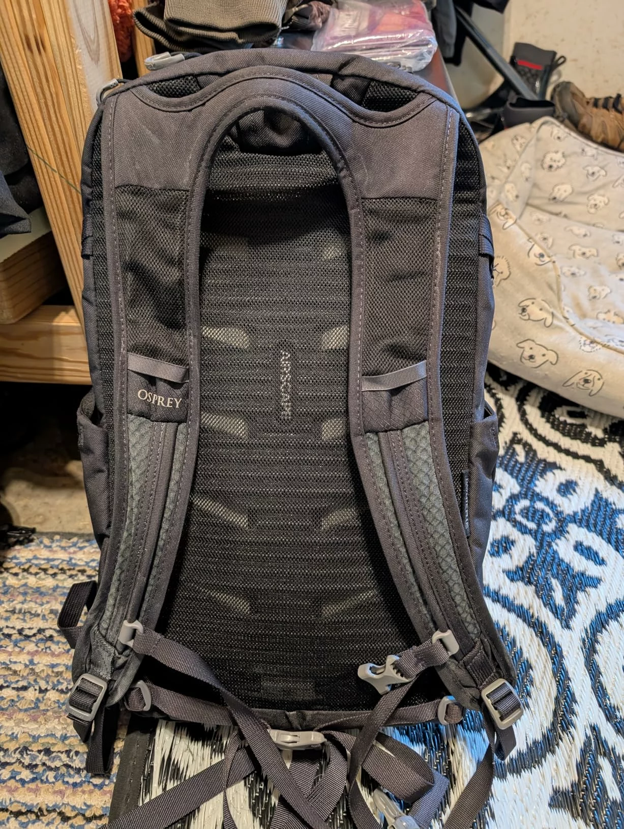 Osprey Daylite Backpack – Lightweight & Functional for Travel and Hiking photo review