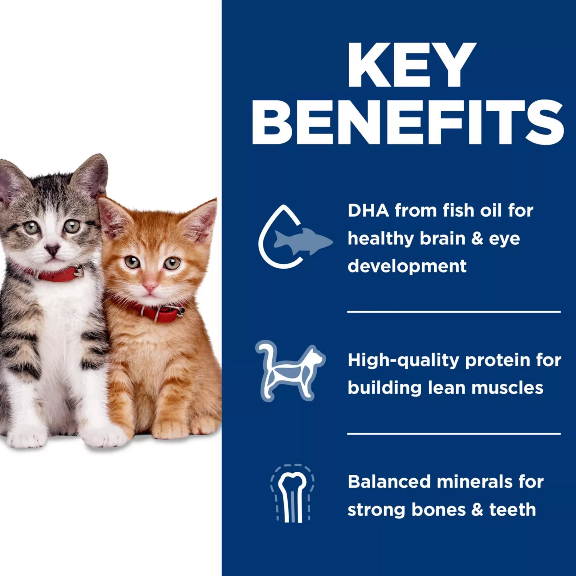 sdasdasda (5) sdasdasda 5