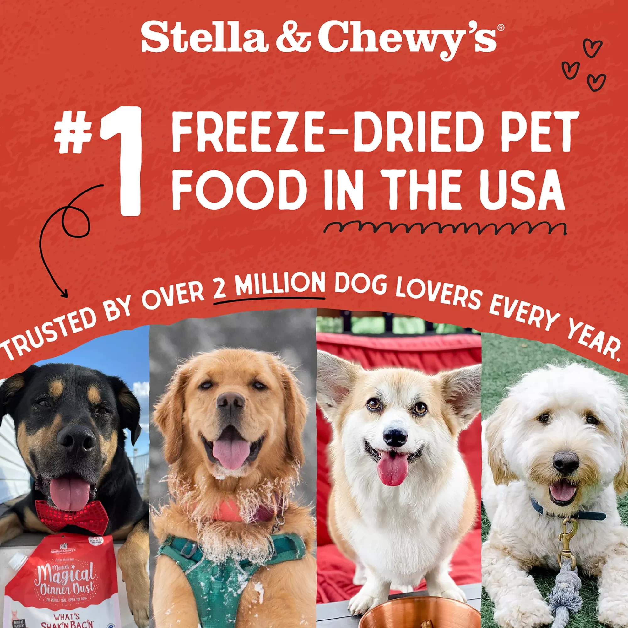 wwqwqwe (2) wwqwqwe 2