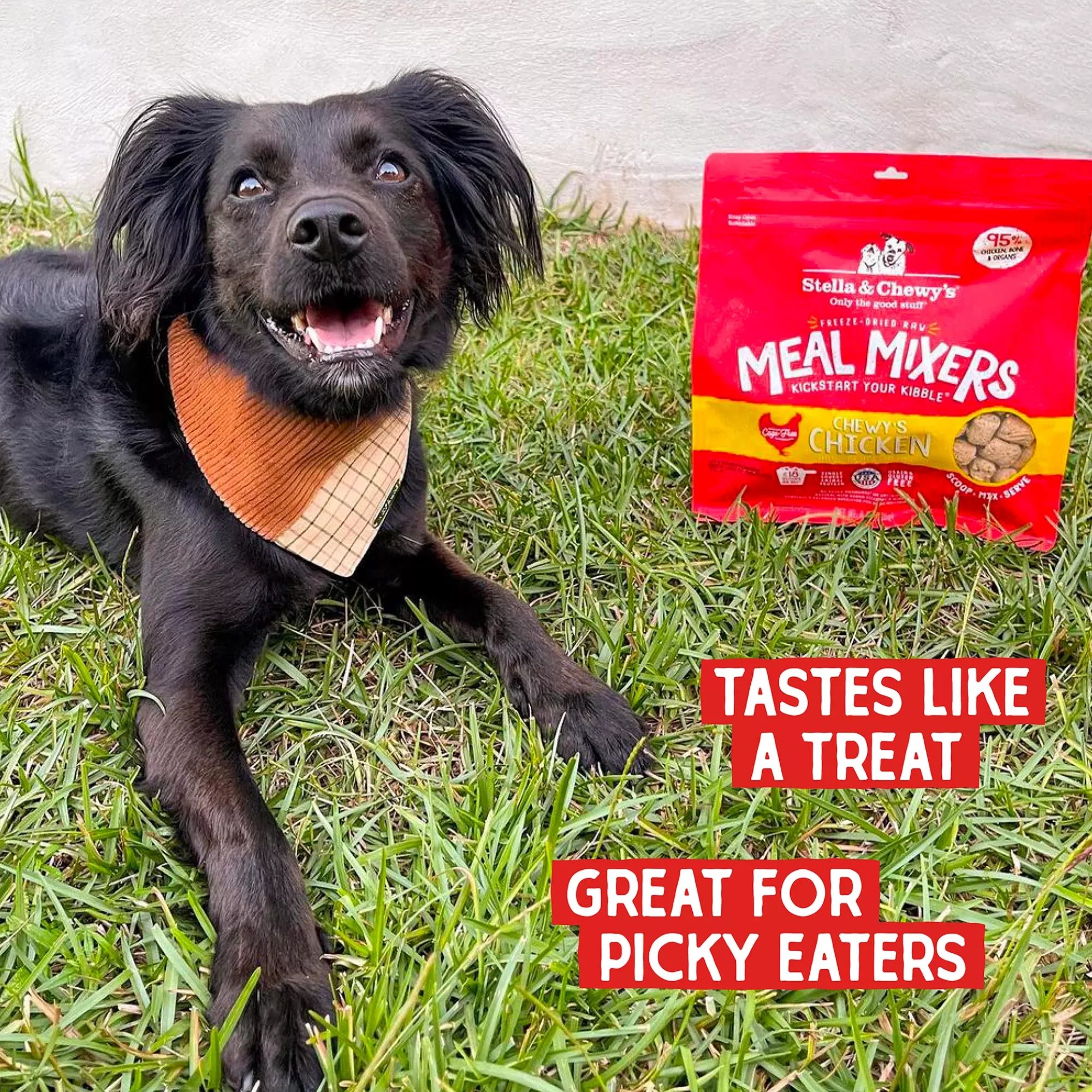 wwqwqwe (4) wwqwqwe 4