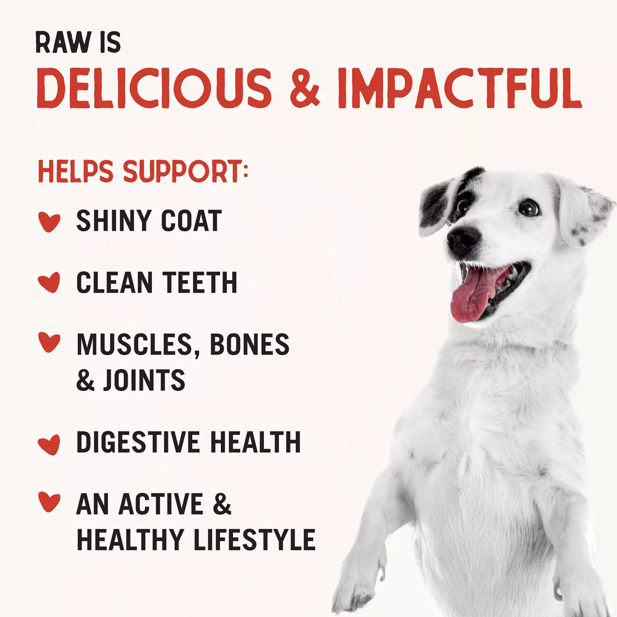 wwqwqwe (5) wwqwqwe 5