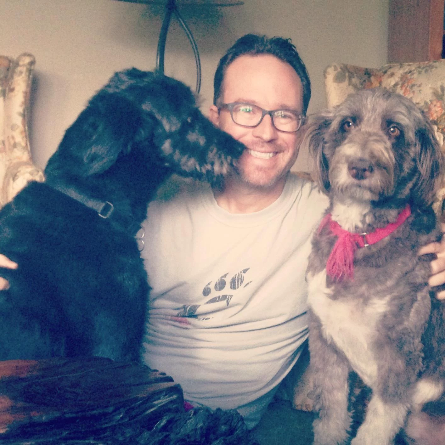 Click to view full screen Complete & Balanced Dry Dog Food for Adult Maintenance photo review