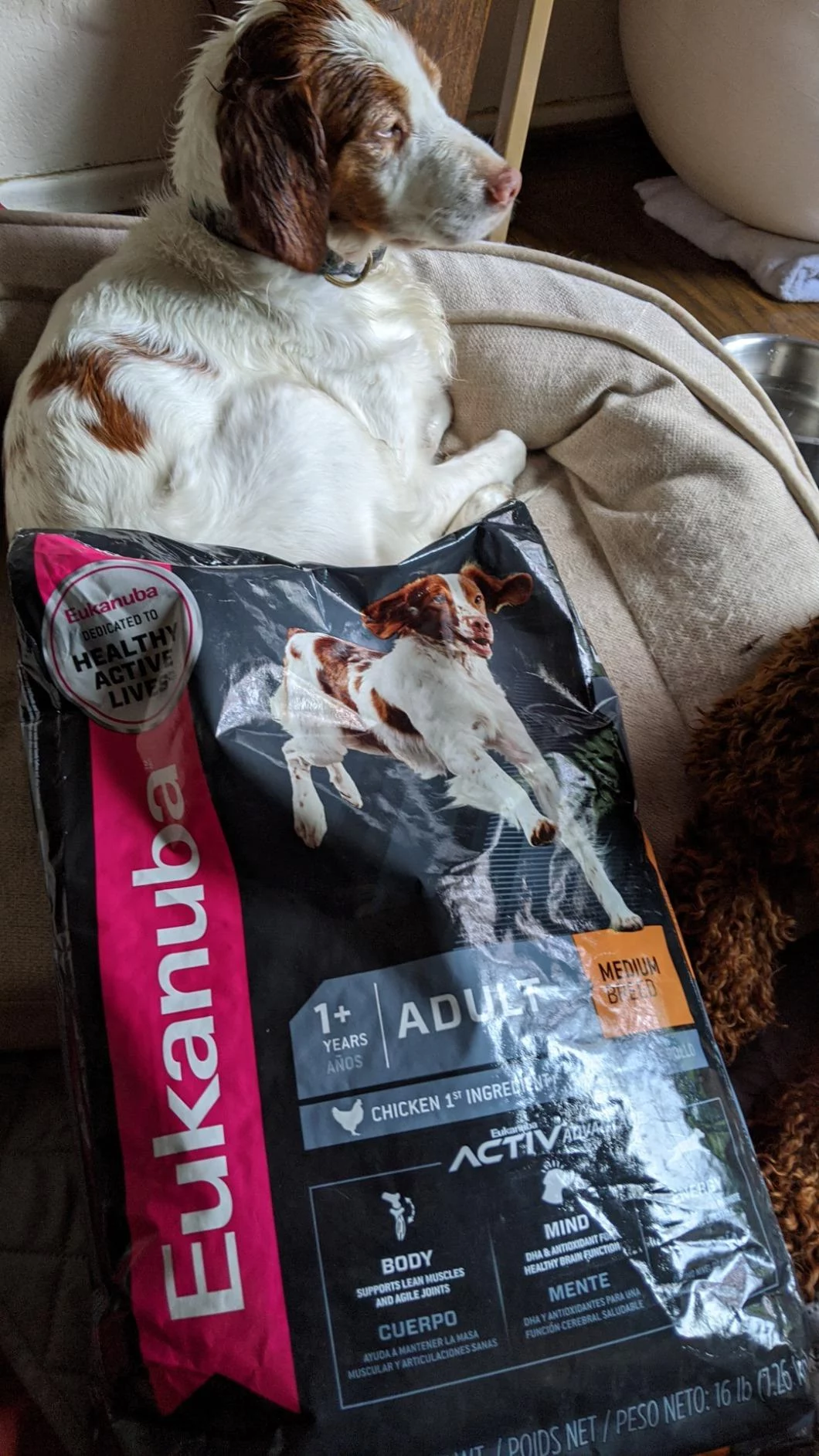 Click to view full screen Complete & Balanced Dry Dog Food for Adult Maintenance photo review