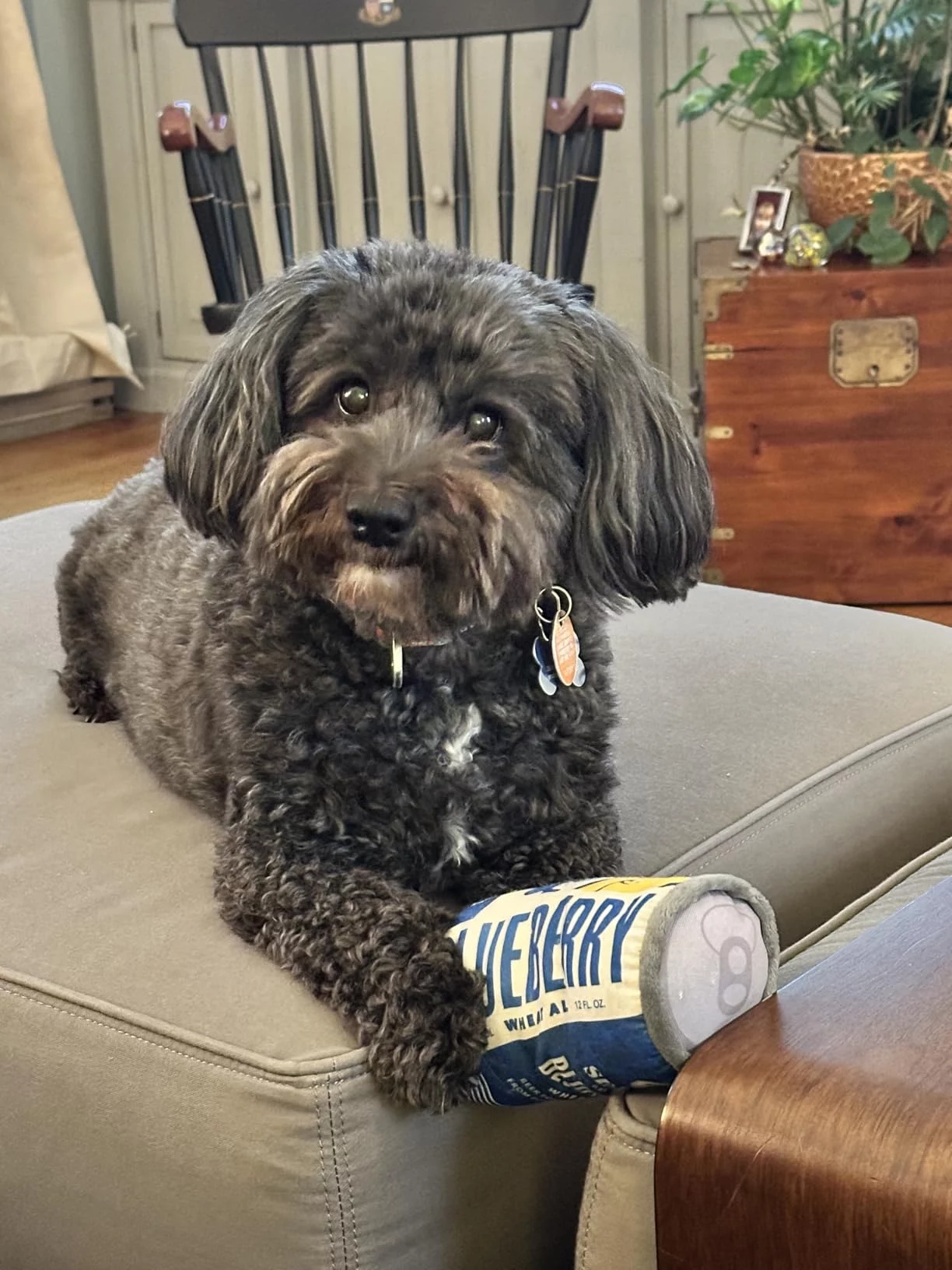 Veterinary Formula Dry Dog Food for Skin & Food Sensitivities - Hydrolyzed Protein Recipe for Low Allergy Risk - Supports Healthy Skin Barrier photo review