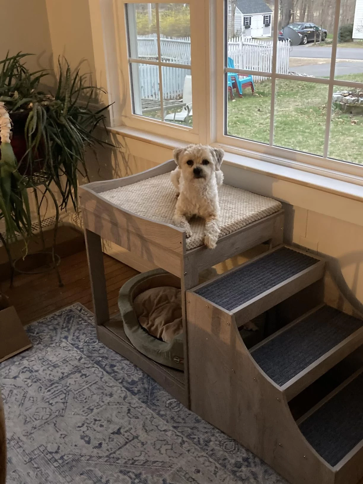 Veterinary Formula Dry Dog Food for Gastrointestinal Biome Health - High Fiber Recipe with Prebiotics to Regulate Digestion & Improve Stool Quality photo review