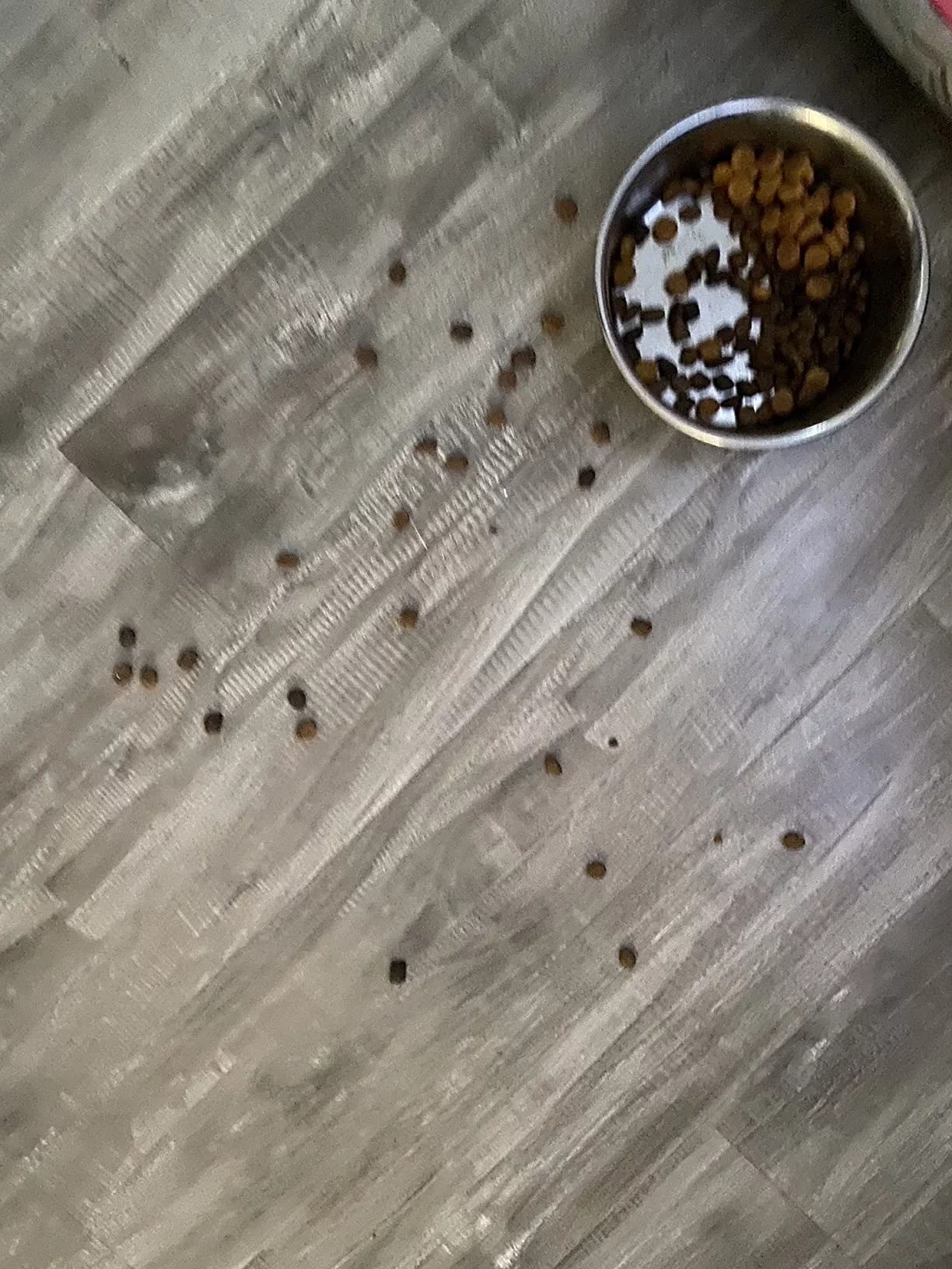 Veterinary Formula Dry Dog Food for Multicare Urinary Health - Dissolves Struvite Stones & Reduces Recurrence Risk - Low Sodium, Optimal pH Balance photo review