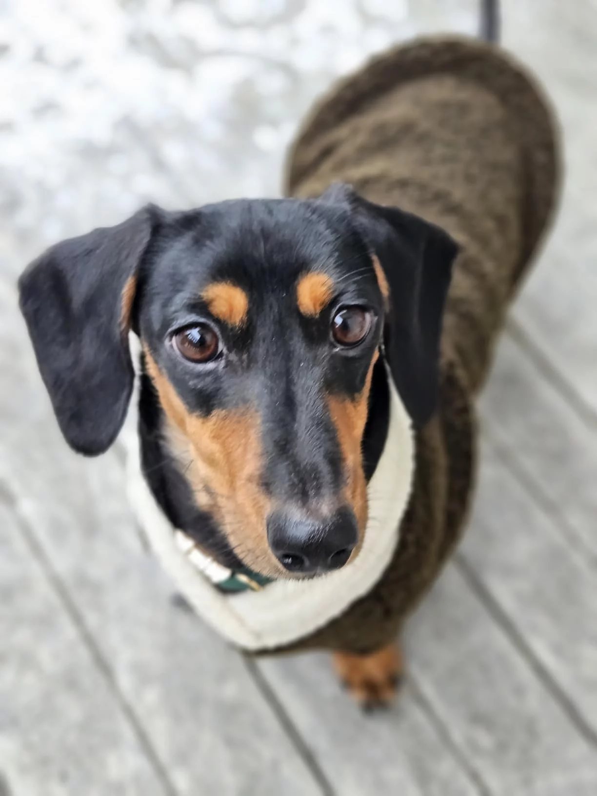 Click to view full screen Veterinary Formula Low Fat Dry Dog Food for Digestive Care - Supports Pancreatic Health & Nutrient Absorption - Highly Digestible and Gentle photo review