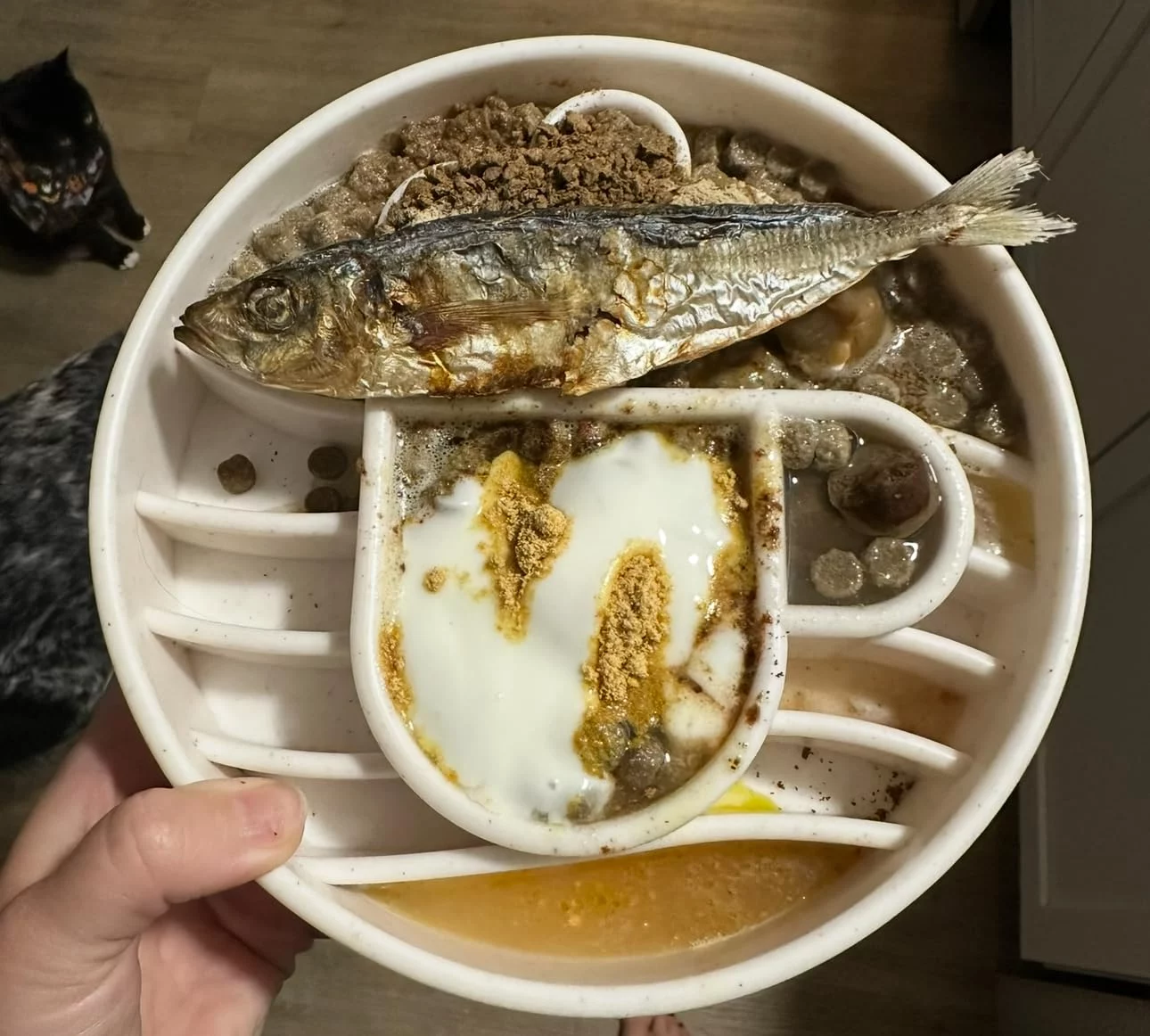 High-Protein Whitefish & Ancient Grains Dry Dog Food - Wholesome, Natural Recipe for Adult Dogs & Puppies photo review