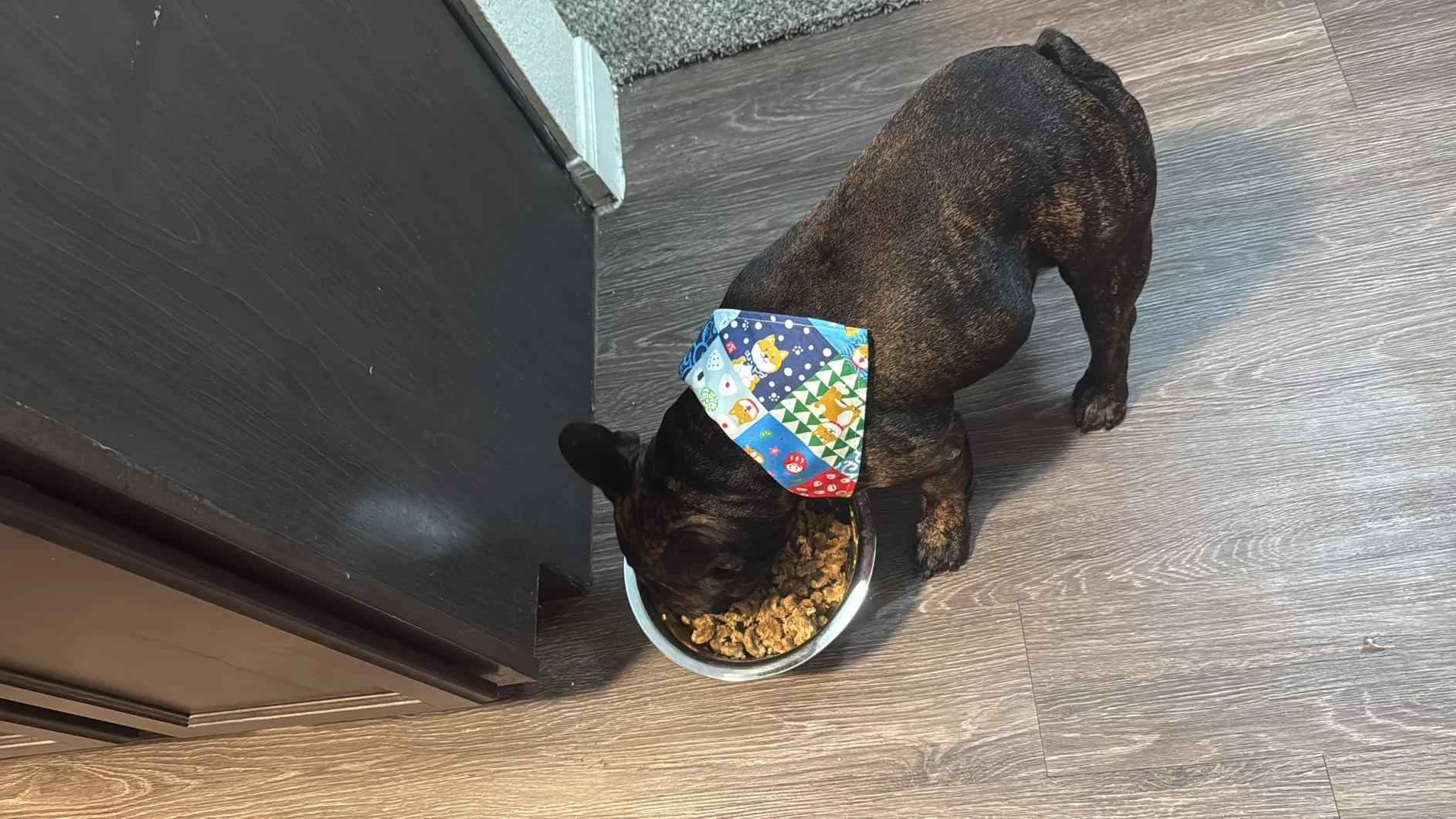 French Bulldog Adult Dry Dog Food - Tailored Kibble Shape for Easy Eating - Digestive Health Formula for Reduced Gas & Healthy Skin photo review