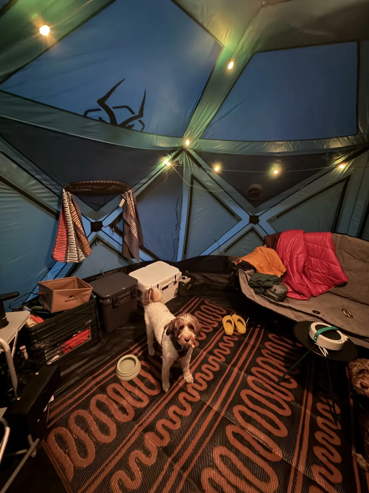 18ft Solar String Lights for Campsites and Patios photo review