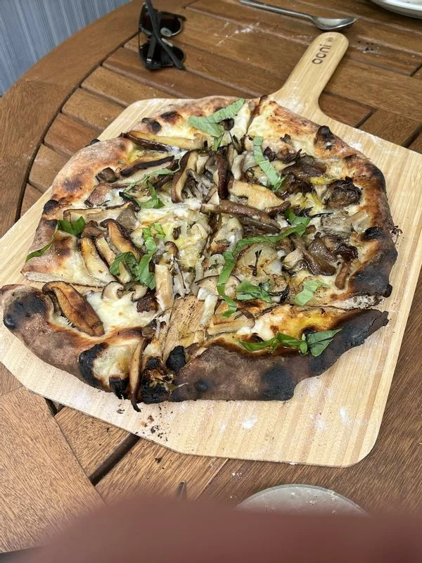 16in Bamboo Pizza Peel and Serving Board photo review