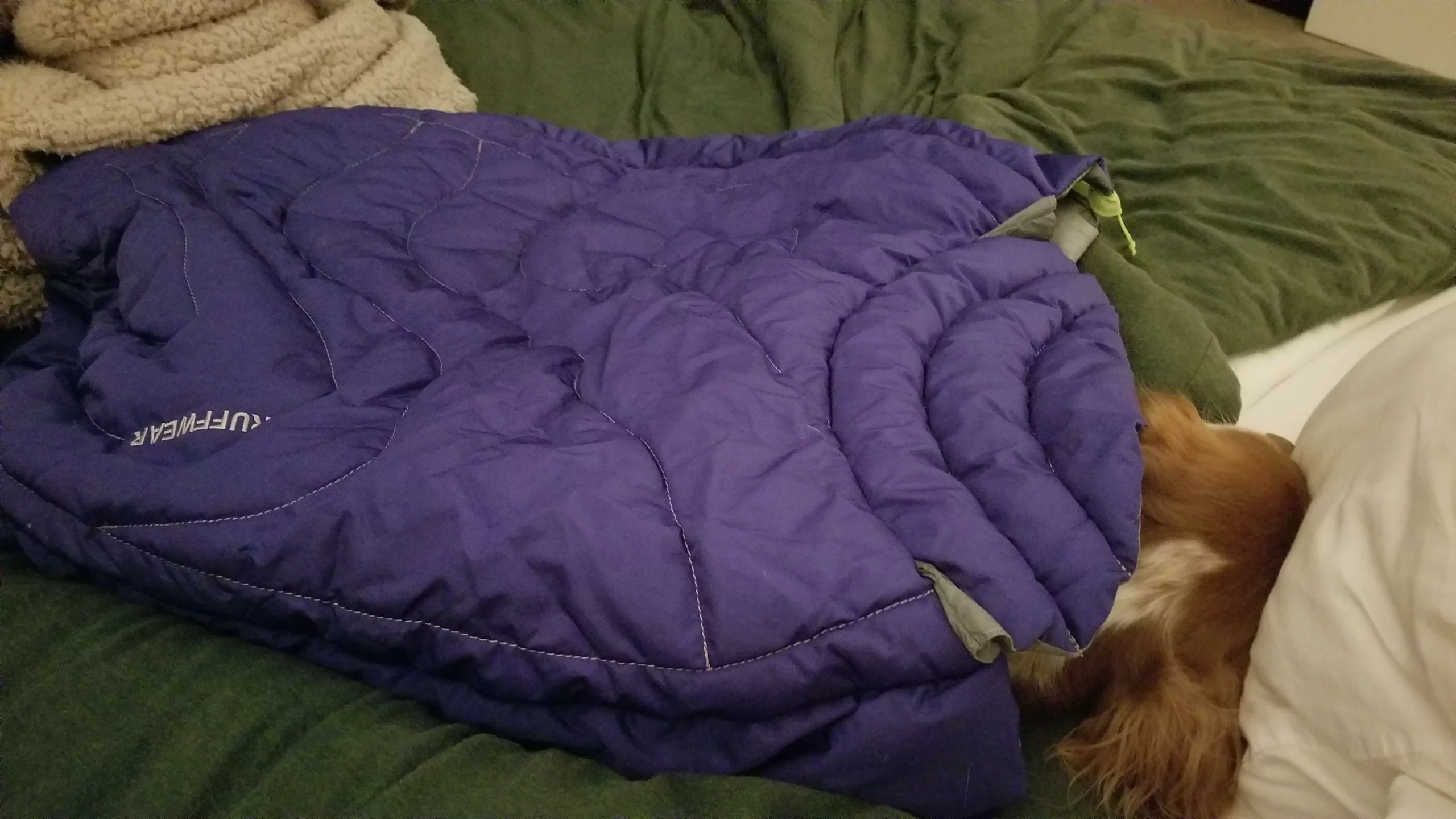 Warm Sleeping Bag for Dogs on Camping Trips photo review