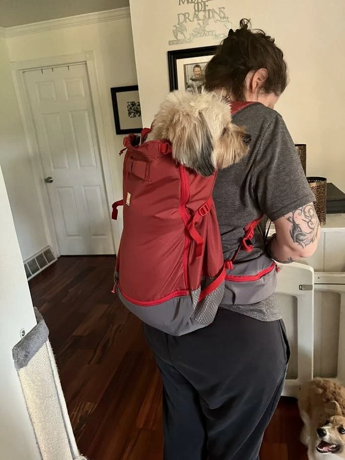 Dog Backpack Carrier with Secure Harness System photo review