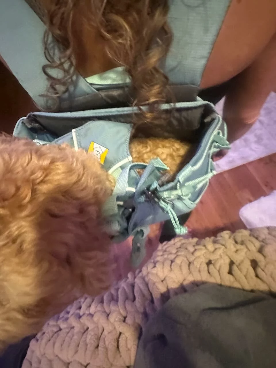 Dog Backpack Carrier with Secure Harness System photo review