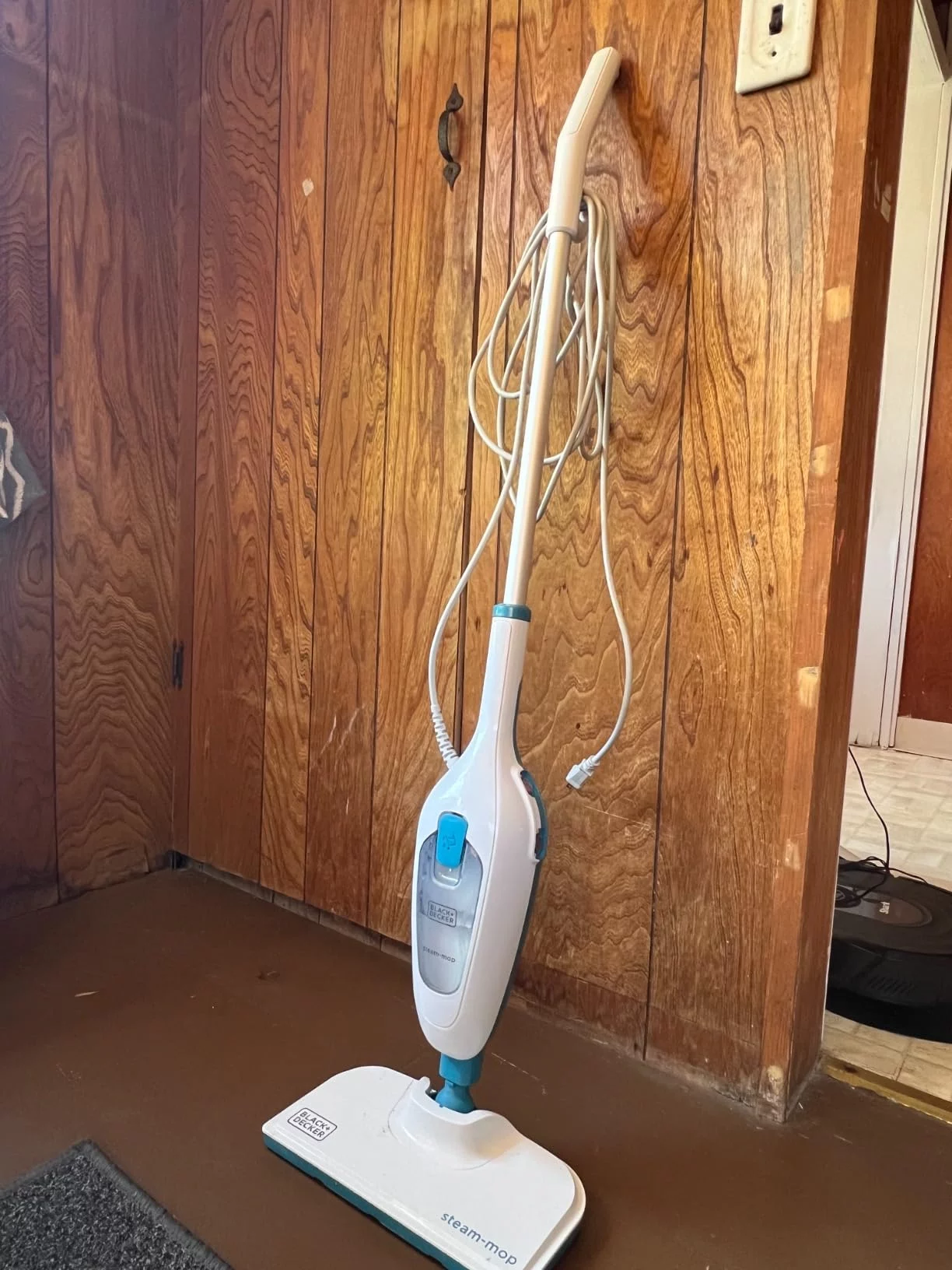 High-Power Steam Mop for Hard Floors - Lightweight, Fast Heating & Chemical-Free Sanitization - Versatile Floor Cleaner photo review