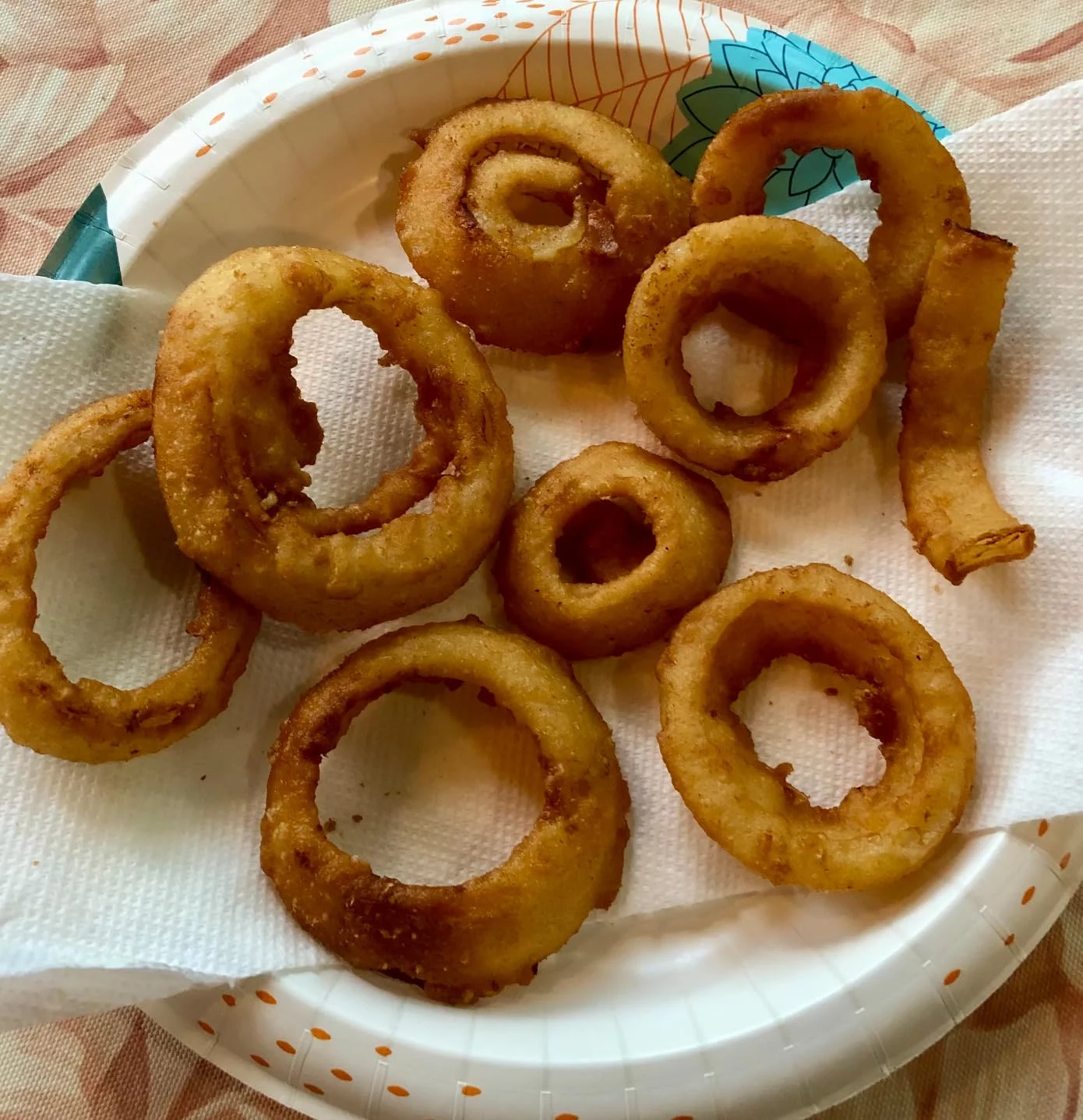 2-Quart Compact Electric Deep Fryer - Space-Saving Design, Fast Heat-Up & Temperature Control - Ideal for Small Batches, Snacks & Individual Meals photo review