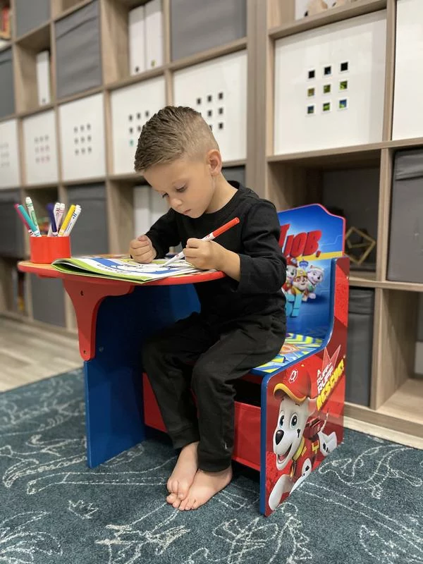Paw Patrol Chair Desk with Storage Bin – Kids Study Table with Built-In Drawer and Fun Character Design photo review