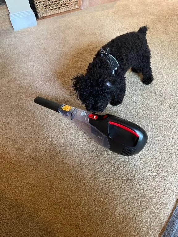 16V Rechargeable Wet-Dry Hand Vacuum Cleaner - Cordless High Power Suction for Liquids, Spills, and Dust - Portable & Versatile Car/Home Use photo review