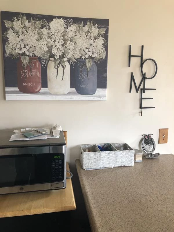 Floral Canvas Wall Art – Americana-Style Printed Home Décor photo review