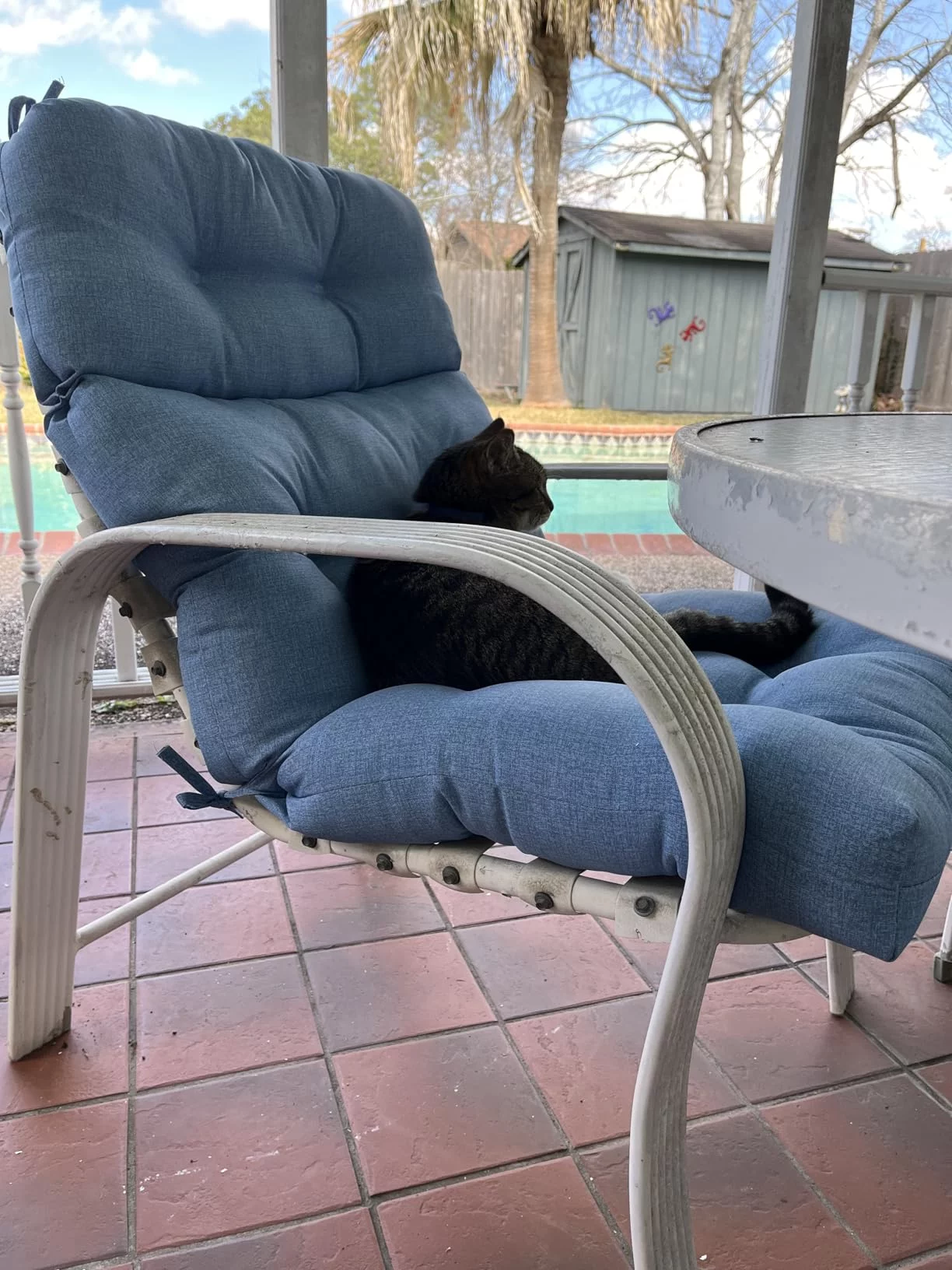 Striped High-Back Patio Chair Cushion Outdoor Seat & Back Cushion photo review