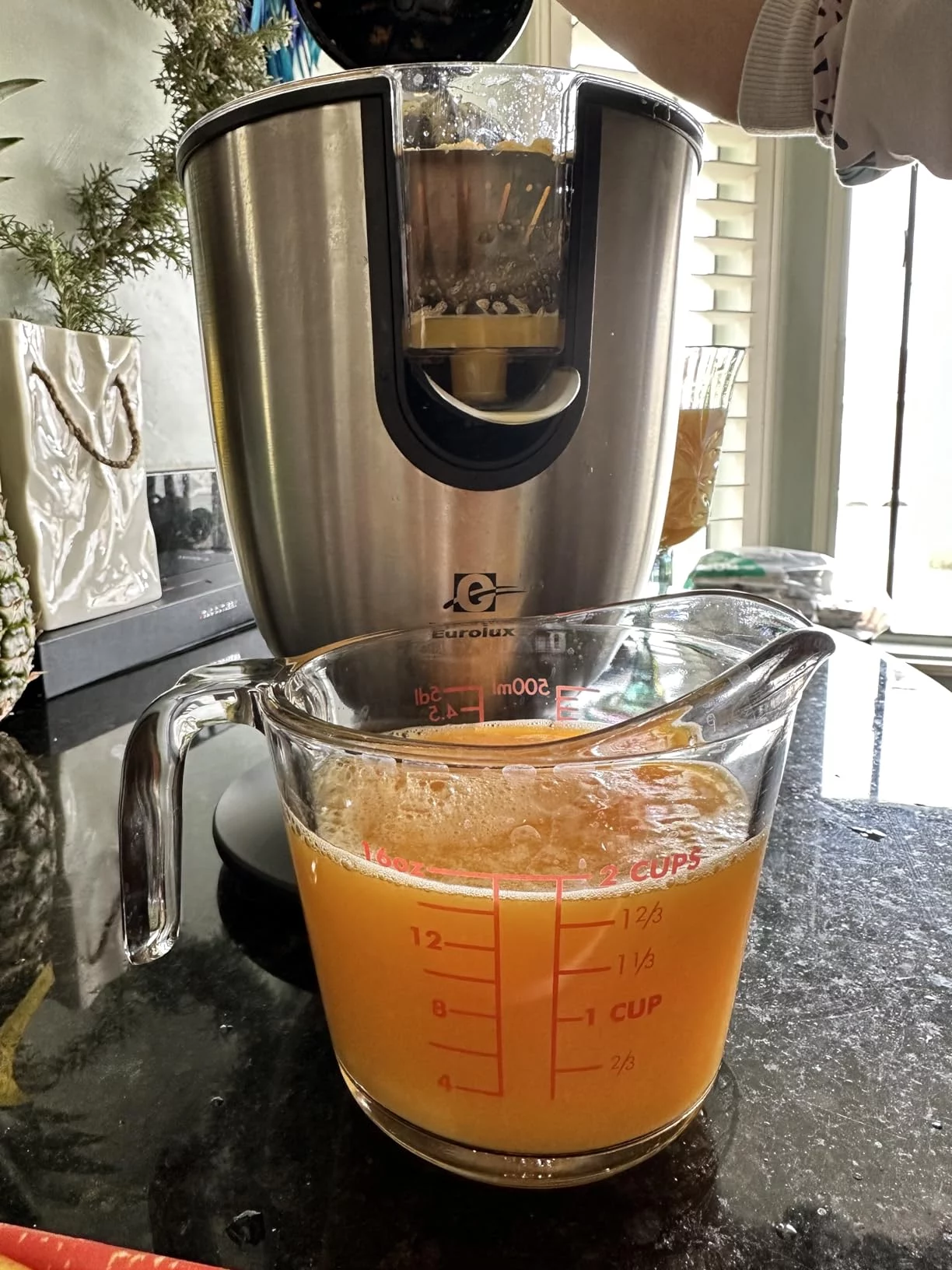 Stainless Steel Electric Citrus Juicer - Commercial Grade Power, Quiet Operation & Pressure Activated Cone - Easy, Fast Juicing for Oranges, Lemons & Limes photo review