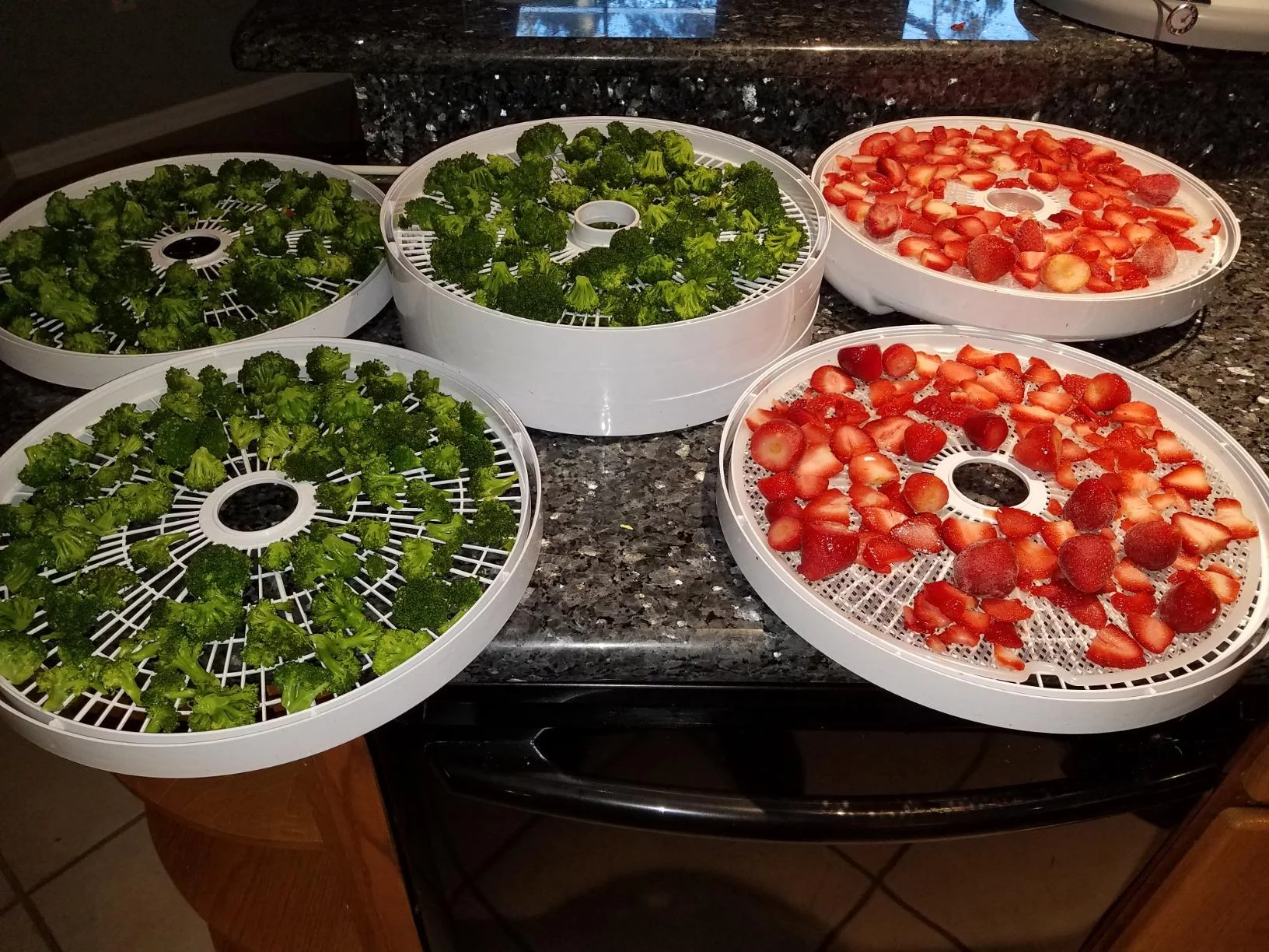 Professional Multi-Tier Food Dehydrator for Jerky, Fruits, and Vegetables - Adjustable Temperature Control & Quiet Operation - High Capacity photo review