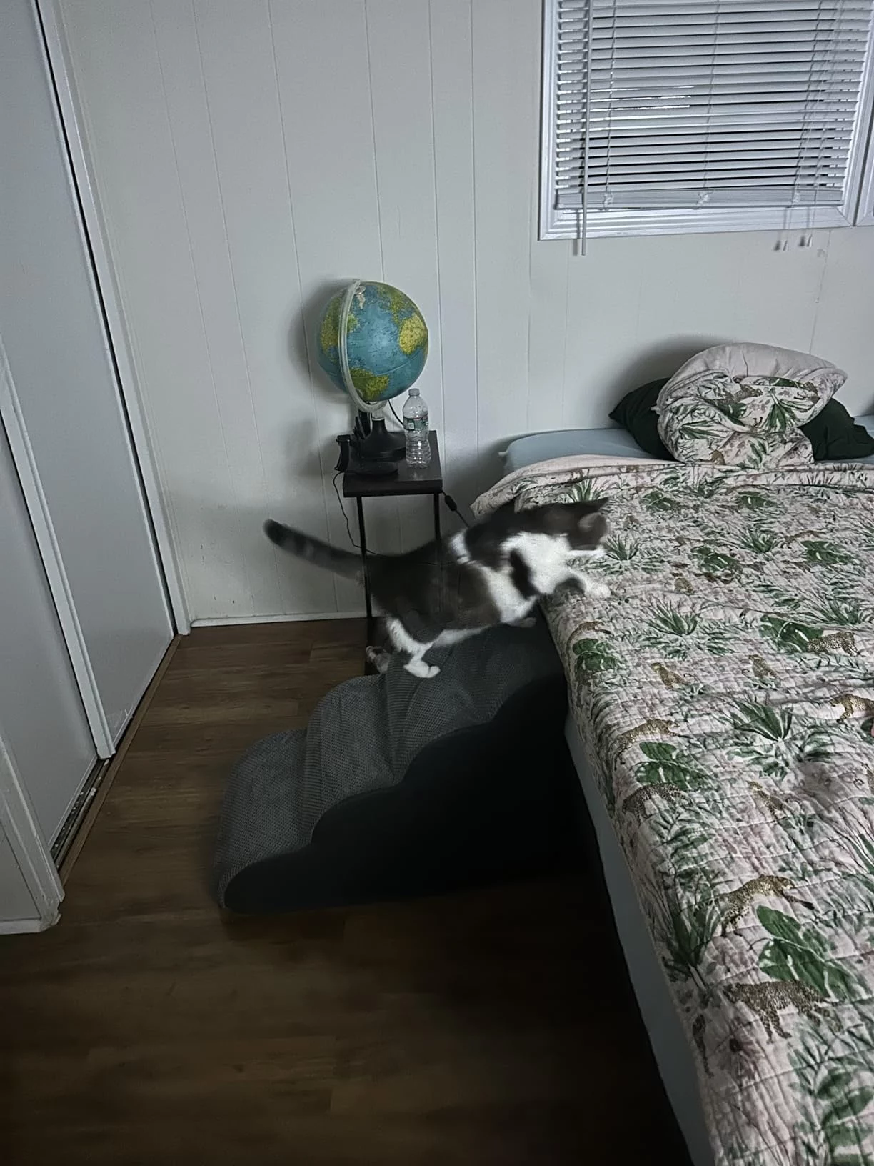 High Density Sherpa Rounded 4-Step Pet Stairs/Ramp - Furniture Access for Small Dogs, Cats & Pets with Mobility Issues - Anti-Slip Base & Soft, Washable Cover photo review