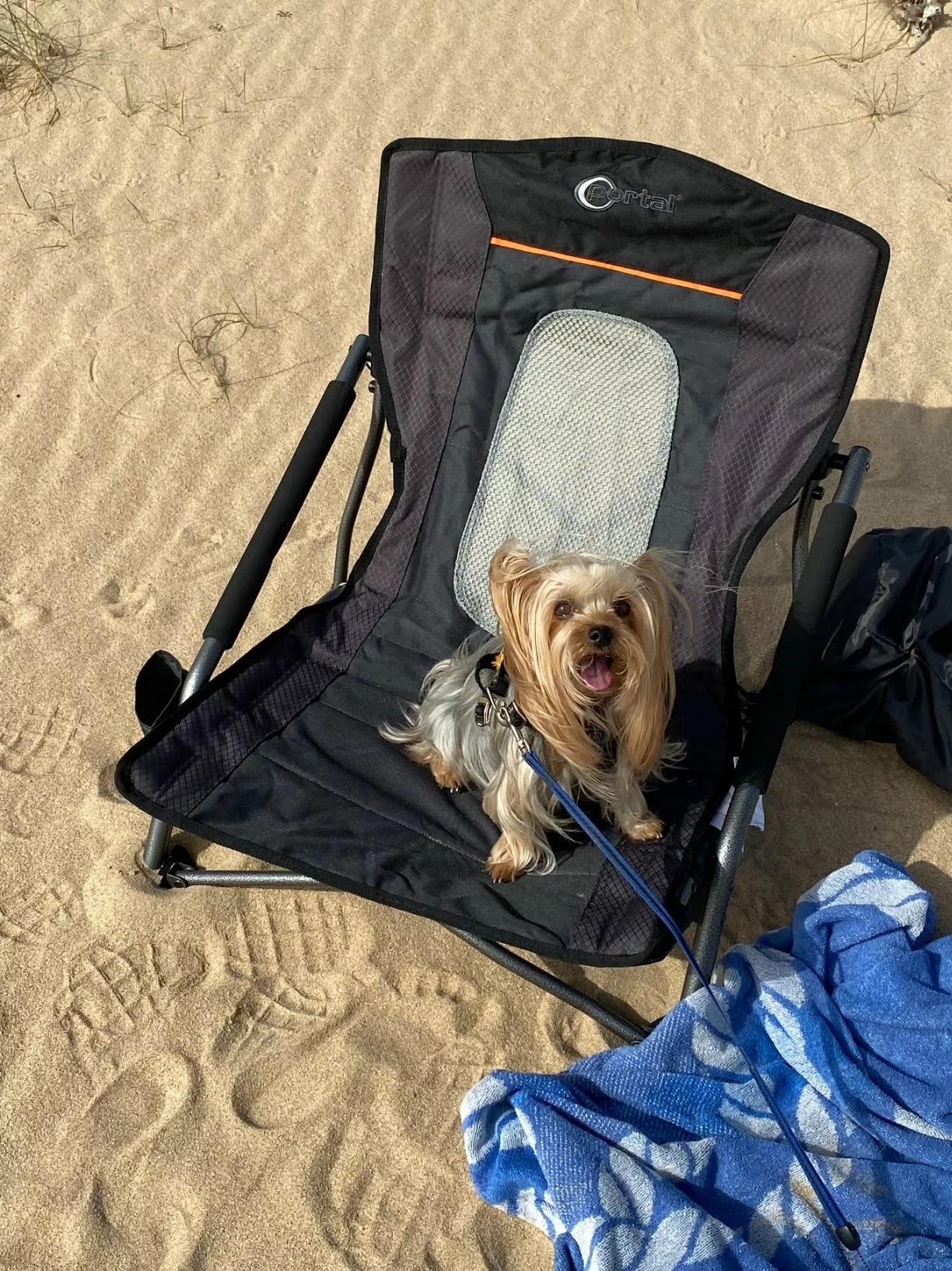 Low-Seat Portable Rocking Beach Chair – Compact Foldable with Carry Bag, Padded Armrests & Headrest photo review