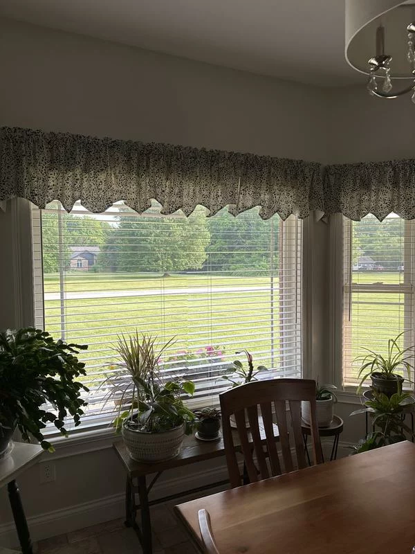 Stella Paisley Regal Valance – Elegant Rod Pocket Window Topper for Classic Home Décor photo review