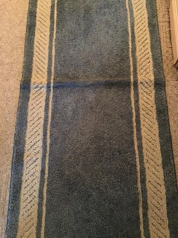 Washable Border Area Rug – Soft, Durable & Easy to Clean for Everyday Use photo review