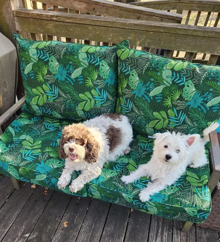 Outdoor/Indoor Seat Cushion Set (2-Piece) – Comfortable, Fade-Resistant & Easy Clean photo review