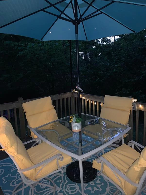 Indoor/Outdoor Chair Cushion – Soft Support, Durable Fabric & Easy Care photo review