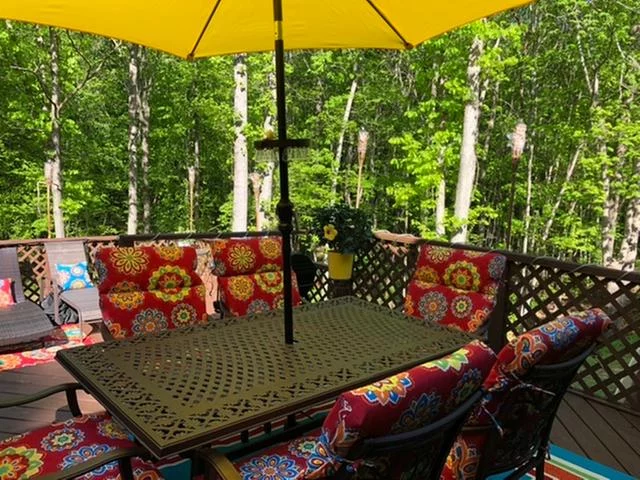 Indoor/Outdoor Chair Cushion – Soft Support, Durable Fabric & Easy Care photo review