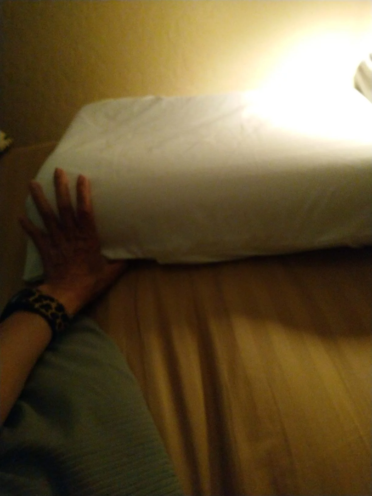 Premium Memory Foam Travel Neck Pillow - High-Density Support for Airplanes, Cars, & Trains - Soft, Washable Cover for Ultimate Comfort photo review