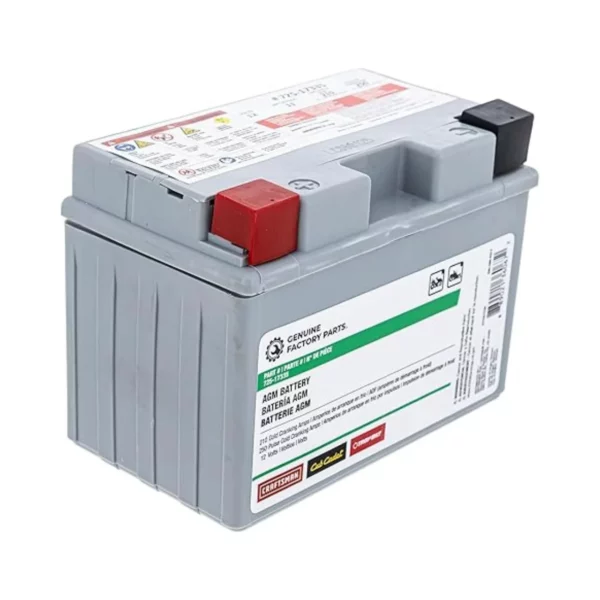 Cub Cadet 12V AGM Lawn Mower Battery 210 CCA for ZTX Series Zero Turn Mowers
