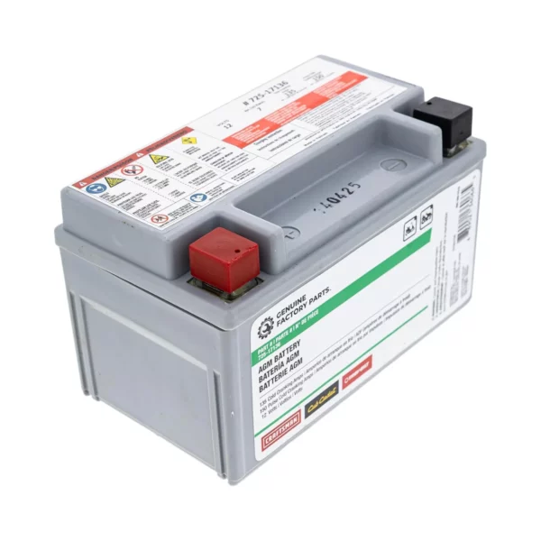 Cub Cadet 12V AGM Lawn and Garden Battery 135 CCA Replacement Battery