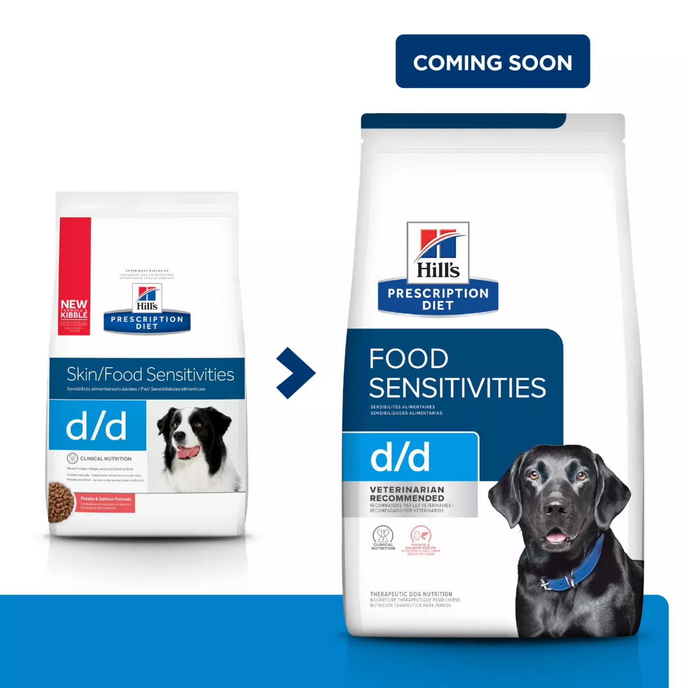 Hill's Prescription Diet d/d Skin/Food Sensitivities Adult Dry Dog Food - Potato & Salmon 5211664