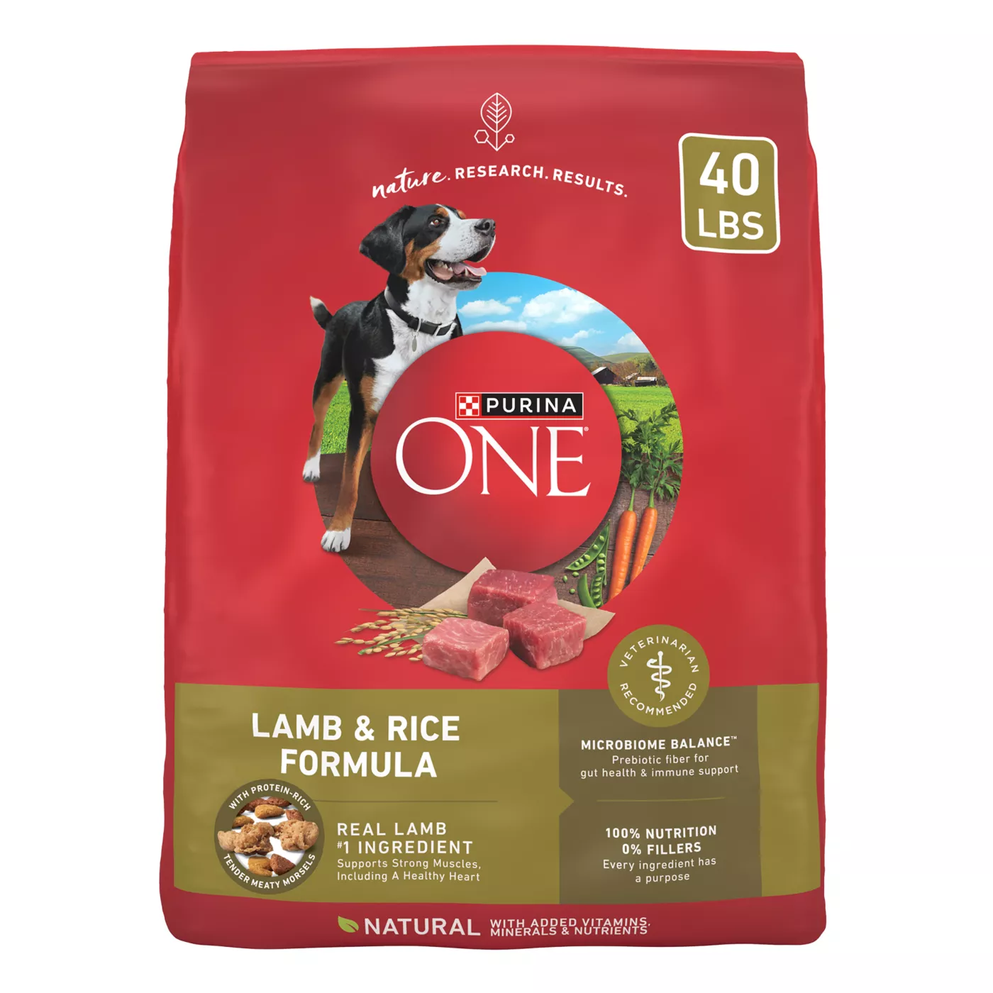 Purina ONE SmartBlend Natural Dry Dog Food - Lamb & Rice 5255963