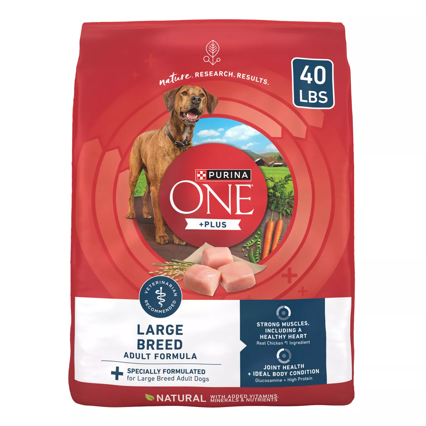 Purina ONE +Plus Large Breed Dry Dog Food - Natural, Chicken 5296302
