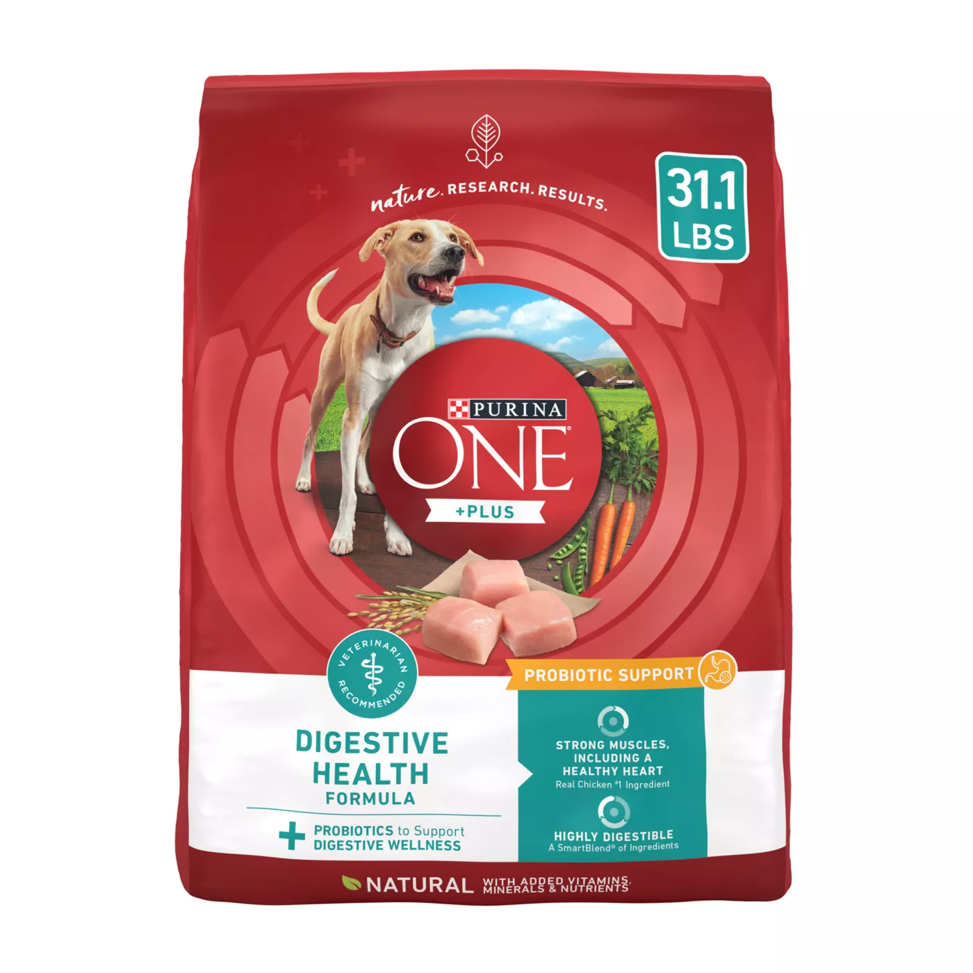 Purina ONE +Plus Digestive Health Dry Dog Food - Natural, Chicken 5296545