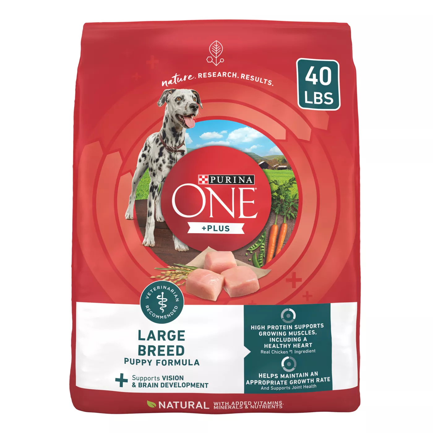 Purina ONE +Plus Large Breed Puppy Dry Dog Food - Natural, Chicken 5321847