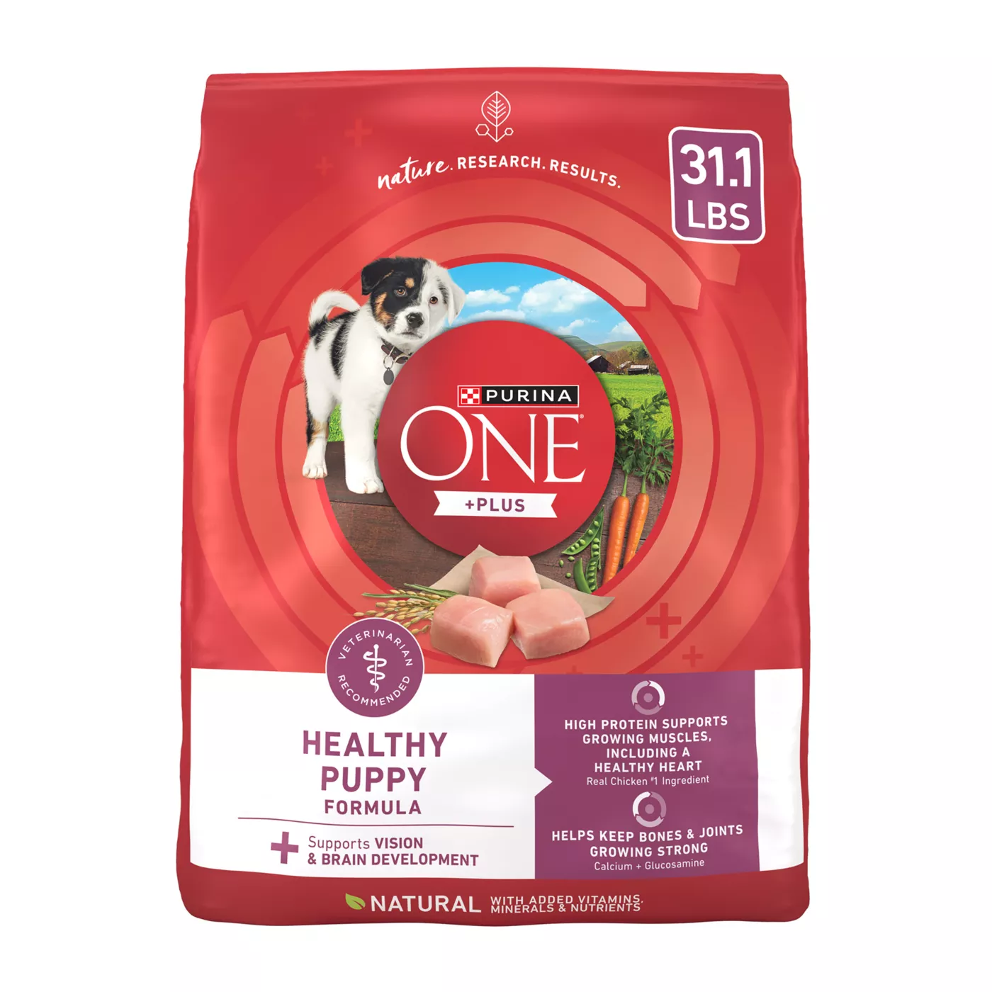 Purina ONE +Plus Healthy Puppy Dry Dog Food - Natural, Chicken 5321993